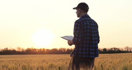 Farmer walking through wheat field during golden hour holding document folder. Farm management...