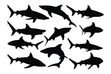 Silhouette Sharks: A captivating collection of shark silhouettes, masterfully captured to evoke the raw power and grace of these apex predators in their natural environment. 