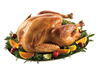 Roasted Turkey on Isolated Background