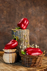 Still life of three sweet bell peppers lying on an improvised pedestal made of a stump and two...