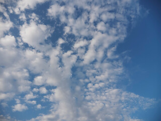 東京の夏空と白い雲