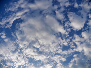 東京の夏空と白い雲