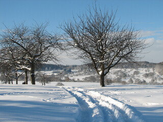 A serene winter scene in Germany: snow-covered trees, houses with white roofs, deep tire tracks in the snow, and a bright blue-white backdrop. The sun shines in the clear sky, casting a peaceful glow 