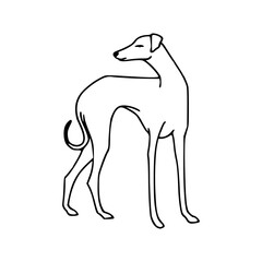 minimalist greyhound outline