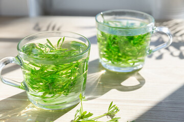 Fresh herbal tea with cleavers plant in glass cups, bright green infusion on wooden surface, natural light, healthy drink, spring detox, slow living, wellness concept, organic lifestyle, foraged herbs