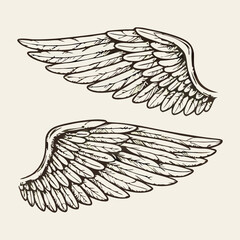 Obraz premium Hand-drawn Vintage Style Angel Wings Set, Tattoo Design