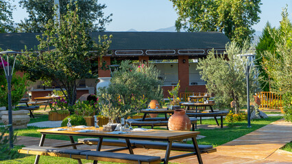 Wooden table in Mediterranean street restaurant with live olive tree on table. Tables set for lunch or dinner