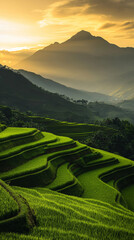 AI generator images of Close-up of rice fields with mountains in the background. Lush green rice terraces on mountainside Scenic view of rice paddy against sky and tea leaf in green cropland  mountain