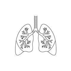 Human lungs anatomy line icon with bronchial tree and trachea for medical and healthcare design