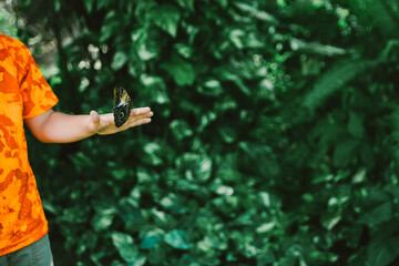 Child holds a butterfly on hand while standing in a lush green garden during a sunny day