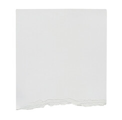 Piece of ripped torn paper isolated on transparent background. Modern minimal branding stationery...