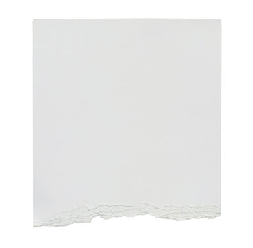 Piece of ripped torn paper isolated on transparent background. Modern minimal branding stationery mockup. Empty message note reminder card template Scrapbook element. Business office graphic object