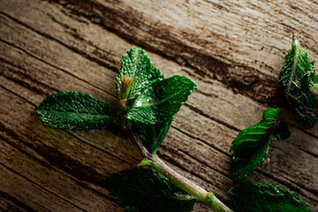 Fresh mint leaves are scattered organically across a textured wooden surface. This image highlights...