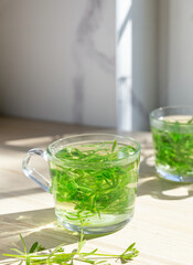 Vertical photo of herbal tea with cleavers plant in glass cup on wooden table, soft sunlight and shadow, green infusion for wellness, detox and natural health, slow living drink, spring herbal ritual