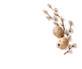 Pussy willow twigs with white catkins and quail eggs on a white background. Composition of Easter and Spring celebrate decoration. © Koko Foto