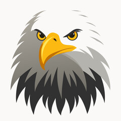 Bald eagle head majestic bird of prey illustration