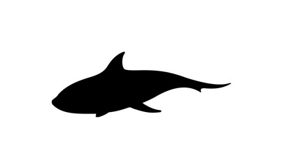 Silhouette of a shark swimming gracefully, a simple black-on-white design.