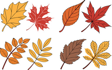 Fototapeta premium Autumn Leaves Illustration Set for September Seasonal Design. Hand Drawn Autumn Leaf Set for Fall and Nature Projects. Colorful Autumn Leaves Collection for Seasonal Themes. September Autumn Leaf