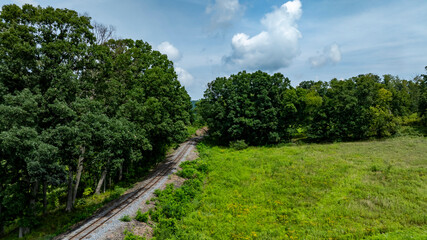Abandoned railway tracks stretch through a vibrant green landscape, bordered by tall trees under a bright blue sky with fluffy clouds. Nature reclaims the old route in this peaceful setting.