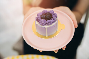 Cake in cafe. Woman Holding Small Purple Cake with Cream and Berries on Pink Plate in Bright Setting
