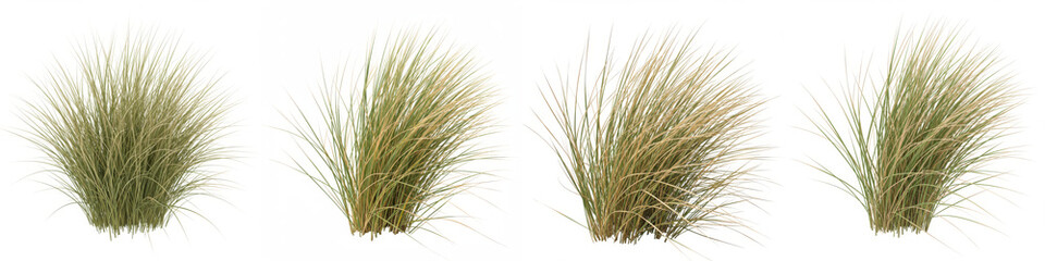 Lush Green Grass Tufts on White - Four vibrant green grass tufts, isolated on a white background, symbolize nature, growth, freshness, spring, and the environment. Perfect for design projects