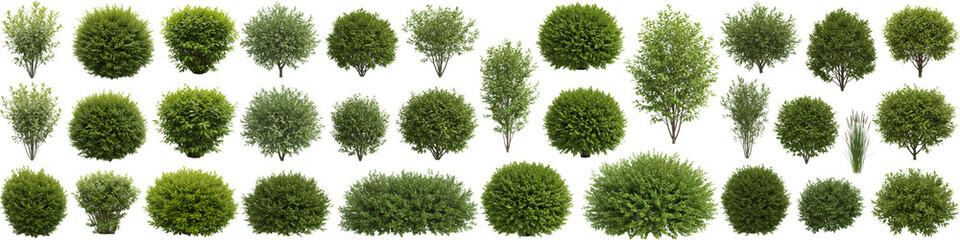 Lush Green Shrubs Collection White Background - A diverse collection of green shrubs, perfect for landscaping designs, garden planning, and architectural visualization.