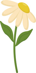 Obraz premium Assorted Floral Illustrations