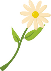 Assorted Floral Illustrations