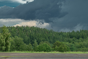 Green forest in mountains after storm with summer rain