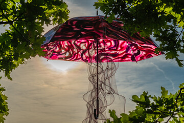 Umbrella suspended on green leaf tree with sunset color