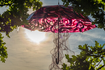 Umbrella suspended on green leaf tree with sunset color