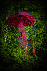 Umbrella suspended on green leaf tree with sunset color