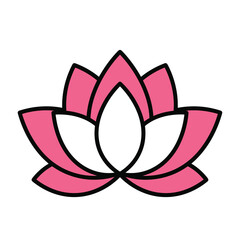 vector illustration of lotus flower
