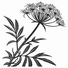 black and white blood flower