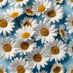 Fototapeta premium White Daisies Scattered on Pale Blue Background