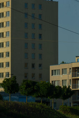 A very tall building featuring numerous windows and a variety of trees situated right in front of it, creating a pleasant urban landscape