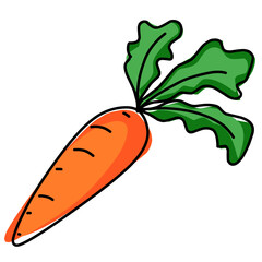 Illustration of fresh carrot, carrots vector icons or carrot illustration 