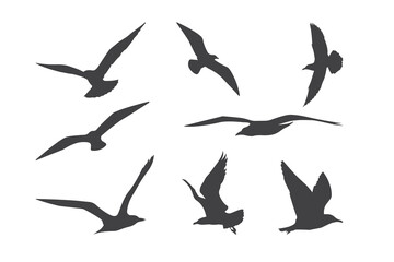 Silhouettes of Birds in Flight Displaying Varied Poses and Wing Shapes. vector illustration