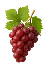 Fototapeta premium Bunch of red grapes, large fruits isolated on white background