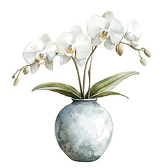 watercolor vector of A Ghost Orchid In A Vase, isolated on a white background.