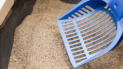 Blue scoop in cat litter box offering feline hygiene and cleanliness solutions. Pet care items