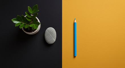 Plant, stone, and pencil on split black and yellow background