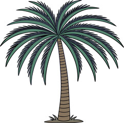 Tropical Palm Tree Illustration