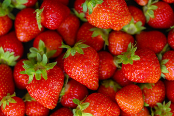 Fresh ripe strawberries with green leaves closeup in bright natural sunlight. Summer food photography, healthy organic berries, vibrant fruit textures and seasonal farm produce aesthetics