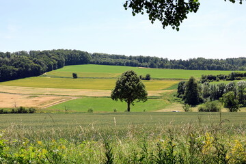 Sommerlandschaft bei Dischingen in Baden-Württemberg