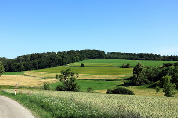 Sommerlandschaft bei Dischingen in Baden-Württemberg