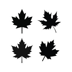 Maple leaf silhouette set of vector illustration