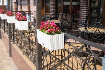 Flowerpots on a fence. Street cafe decor