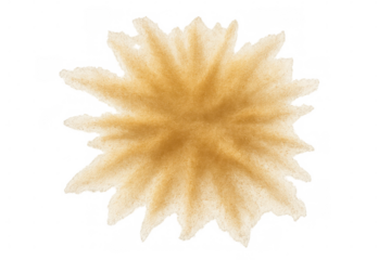 Sand bursting outward, forming radial star pattern against transparent backdrop, highlighting summer dynamic energy