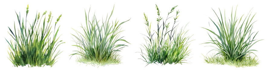 PNG Lush green grass illustrations, element set on transparent background